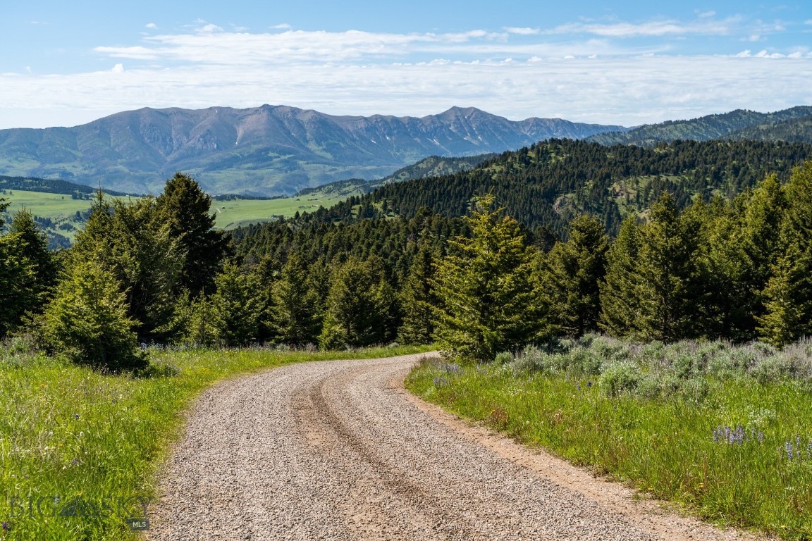 125 Rocky Mountain Meadows