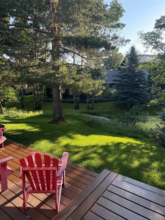 31 Hoffman Drive