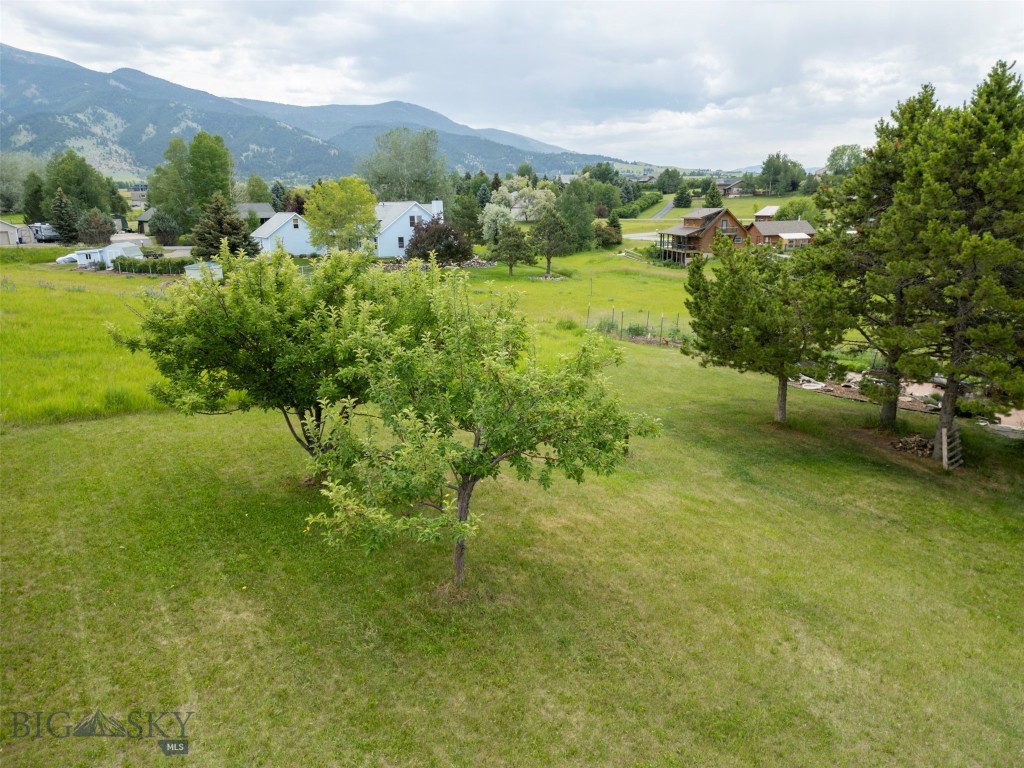 3550 Yellowbell Road