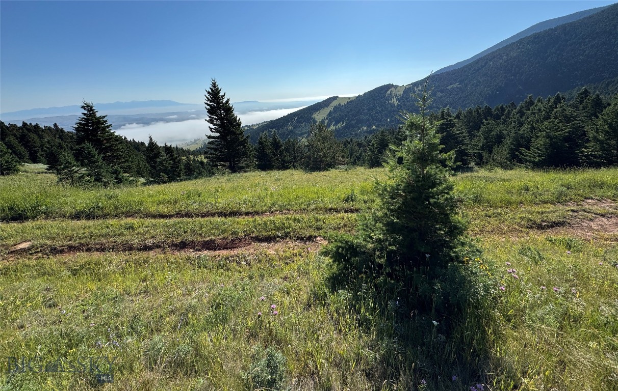 NHN Coyote (lot 57) Drive