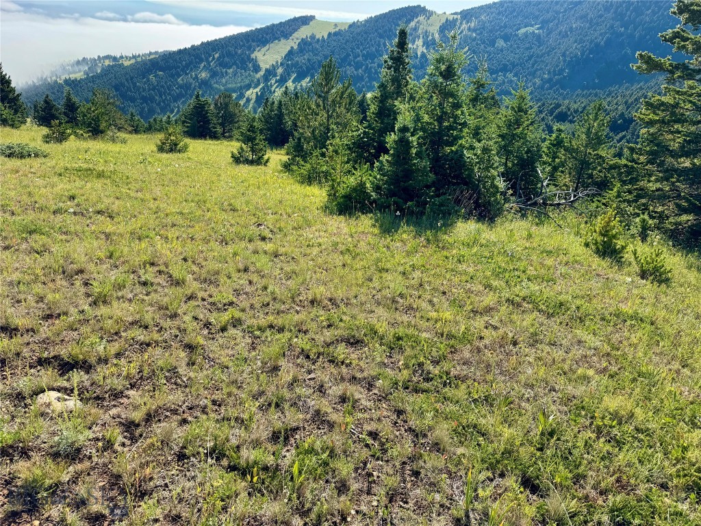 NHN Coyote (lot 57) Drive