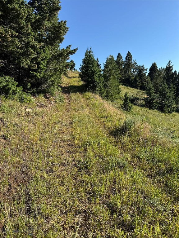 NHN Coyote (lot 57) Drive