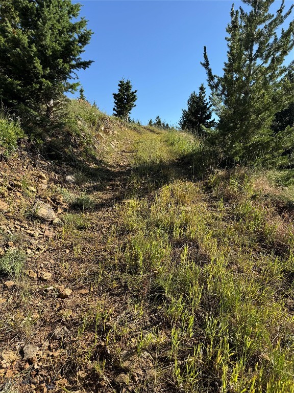 NHN Coyote (lot 57) Drive