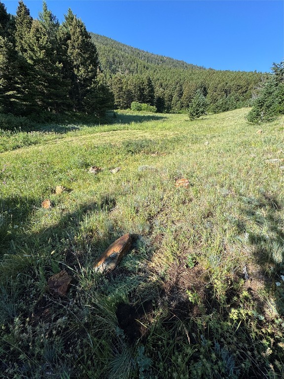 NHN Coyote (lot 57) Drive