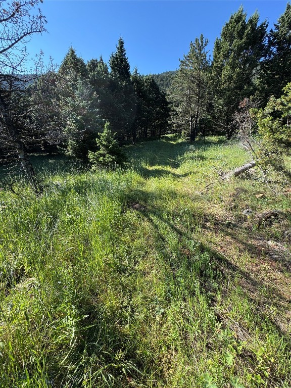 NHN Coyote (lot 57) Drive