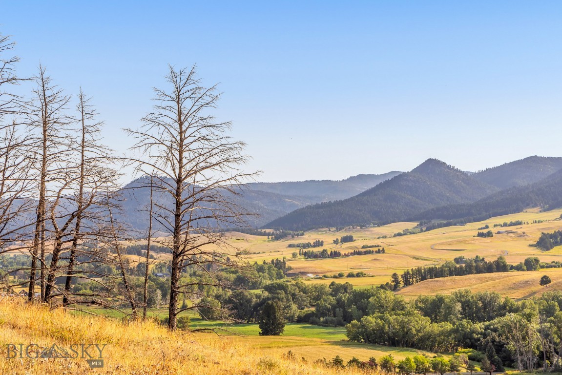 111 Bridger Spring Trail