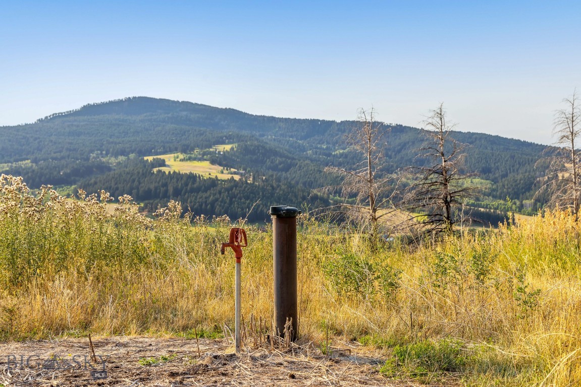 111 Bridger Spring Trail