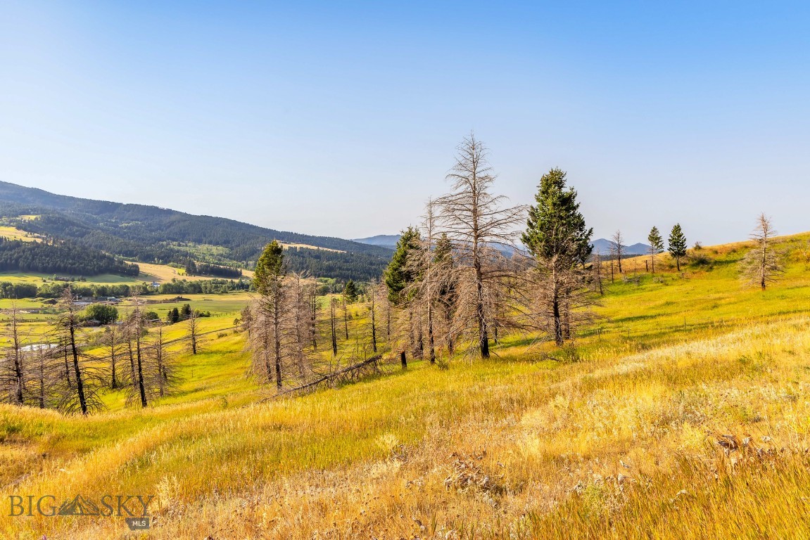 111 Bridger Spring Trail