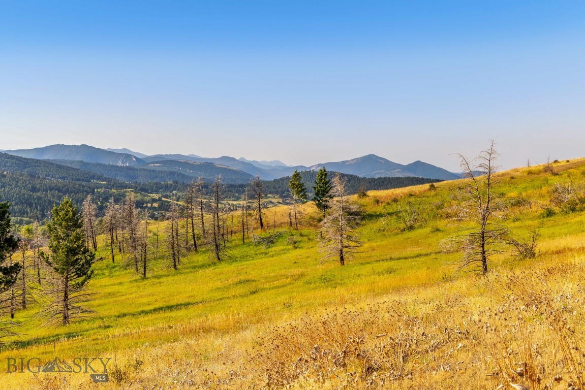 111 Bridger Spring Trail