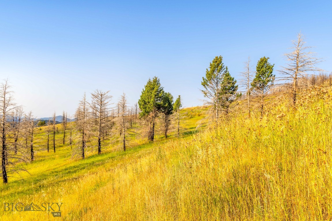 111 Bridger Spring Trail