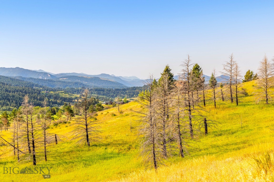 111 Bridger Spring Trail