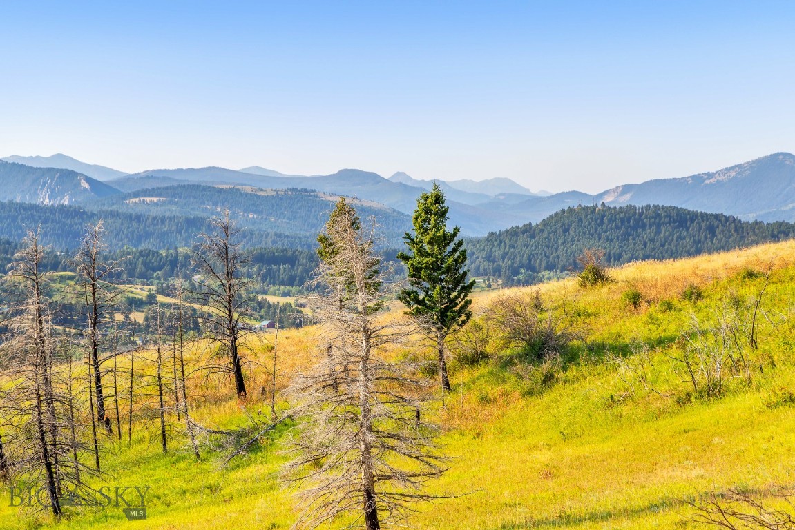 111 Bridger Spring Trail