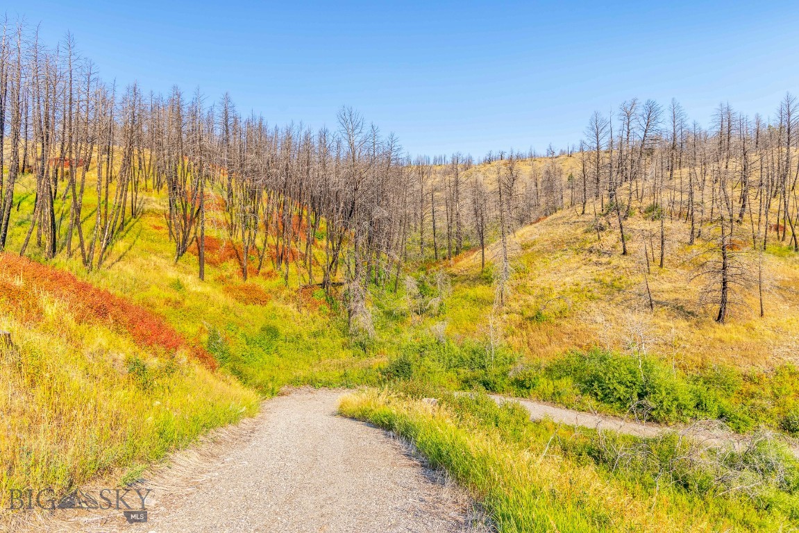 111 Bridger Spring Trail