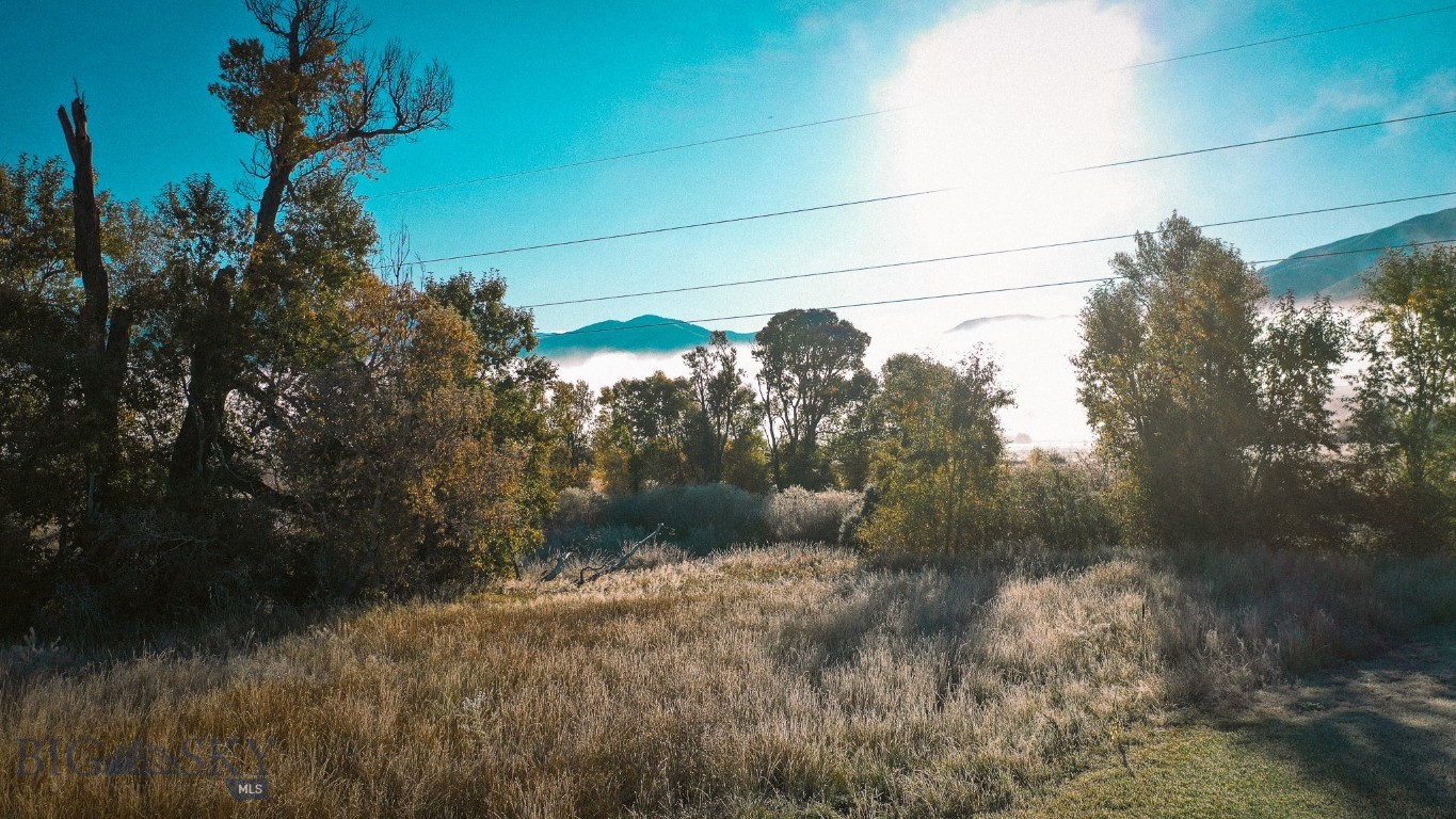 7 Avalon Court A