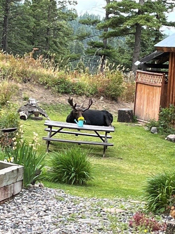 192 Mountain Brook Road