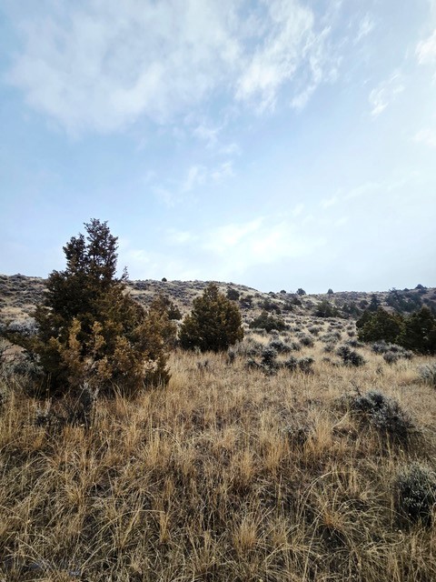 NHN Pole Gulch Road