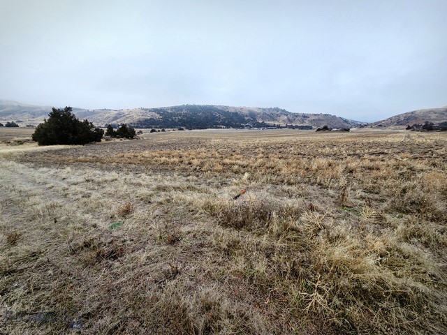 NHN Pole Gulch Road