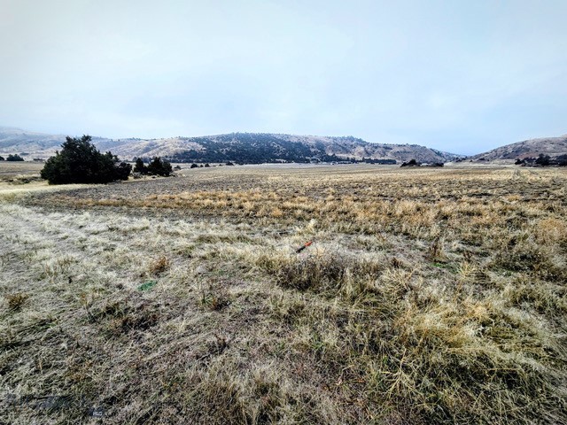 NHN Pole Gulch Road