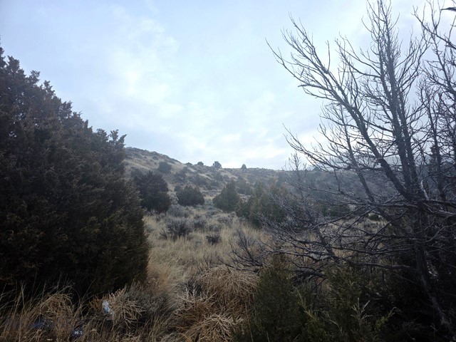NHN Pole Gulch Road