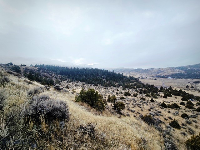 NHN Pole Gulch Road