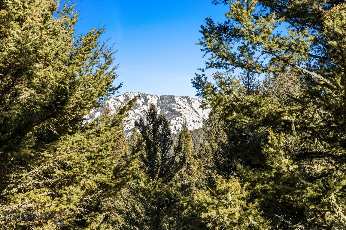 588 Upper Cottonwood Road