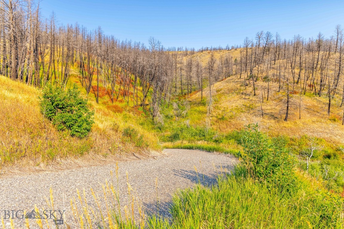 111 Bridger Spring Trail