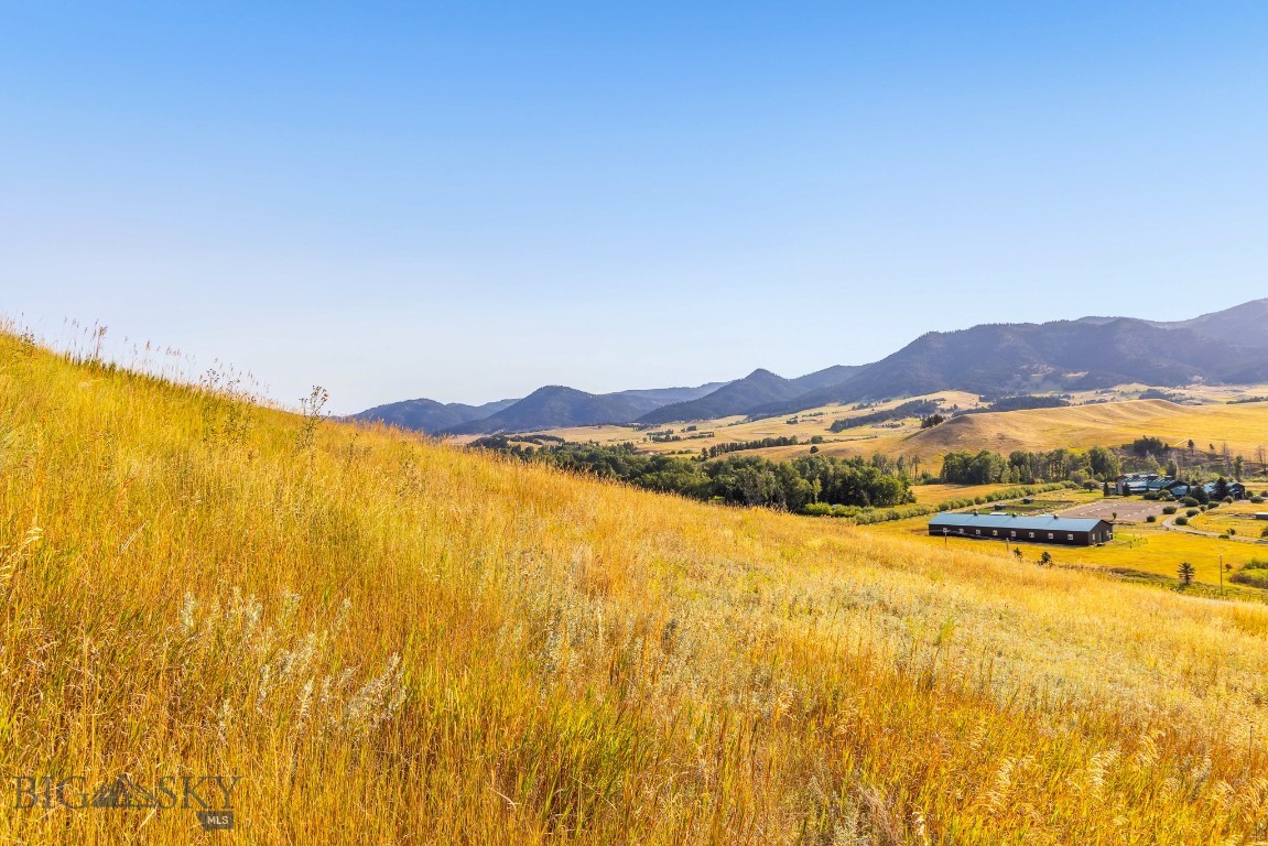 111 Bridger Spring Trail