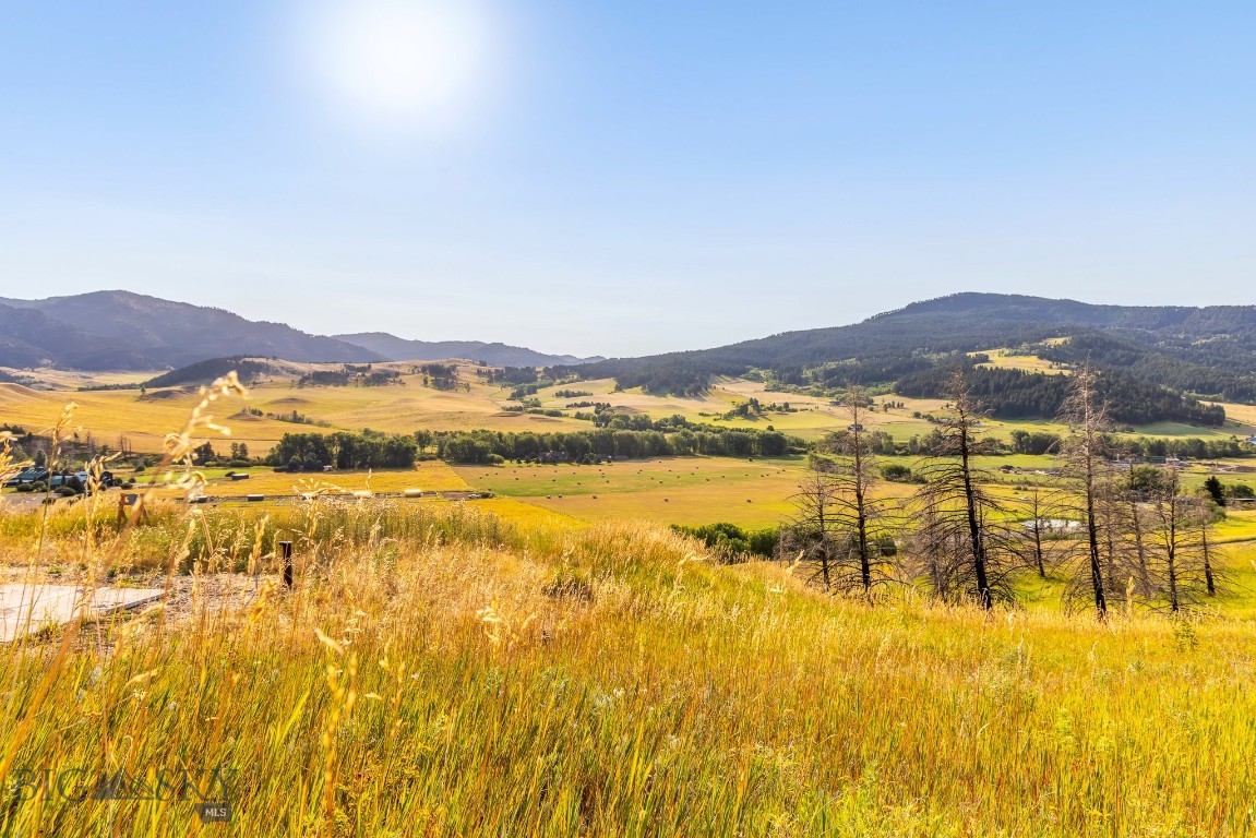 111 Bridger Spring Trail