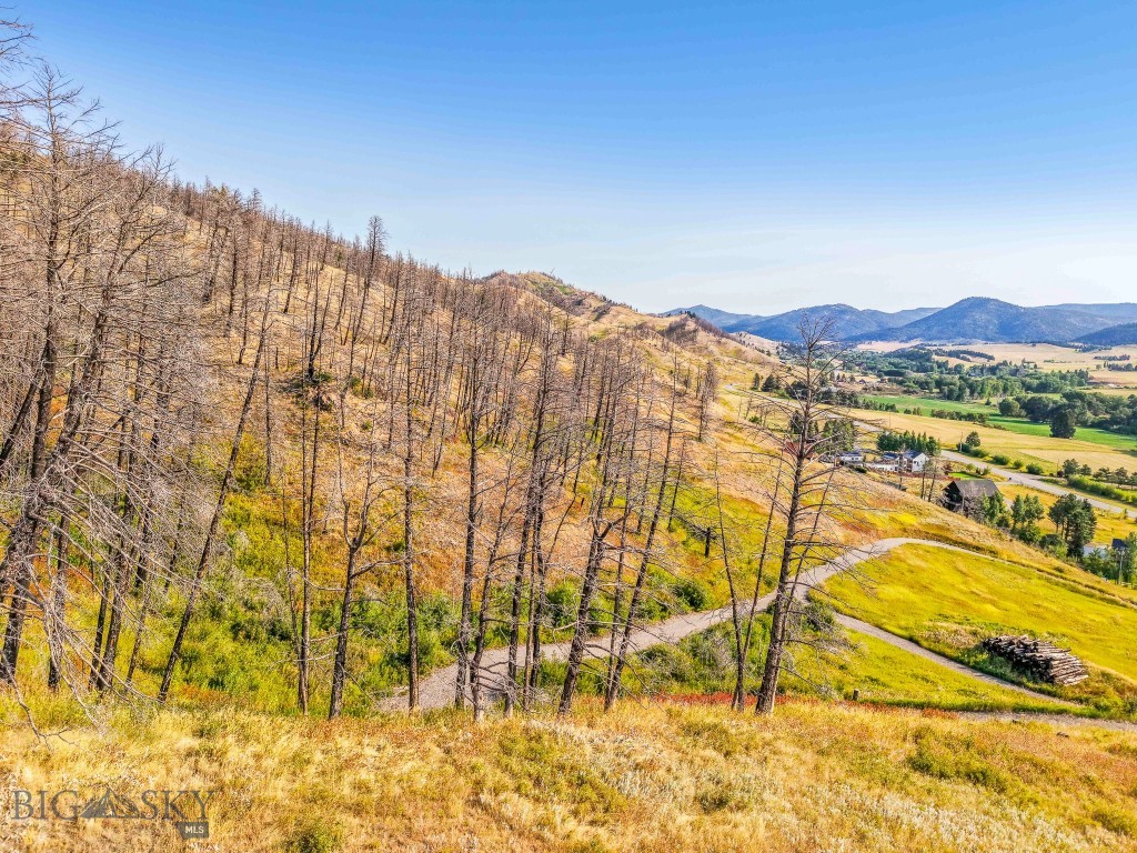 111 Bridger Spring Trail