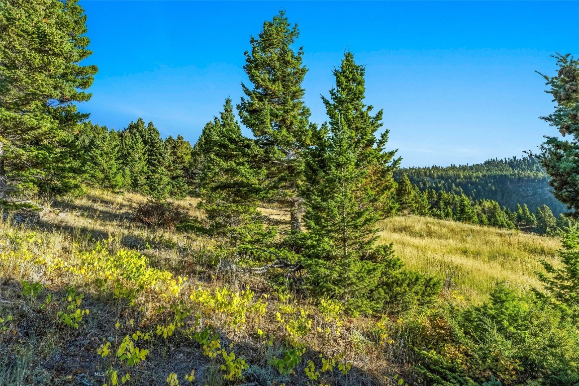 NHN Coyote (lot 69) Drive