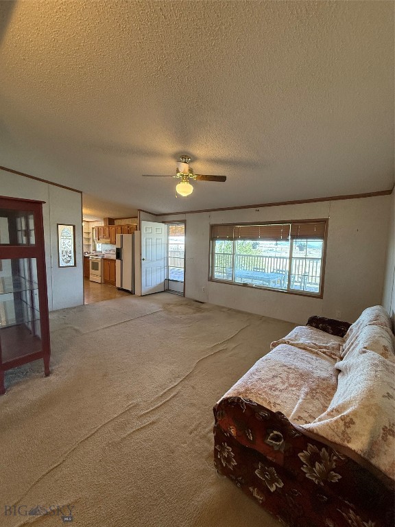 107 Prairie Dog Road