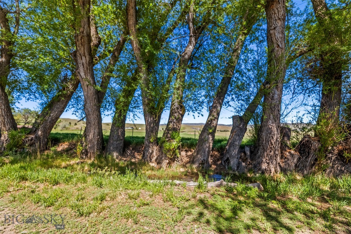 1301 Absaroka Court