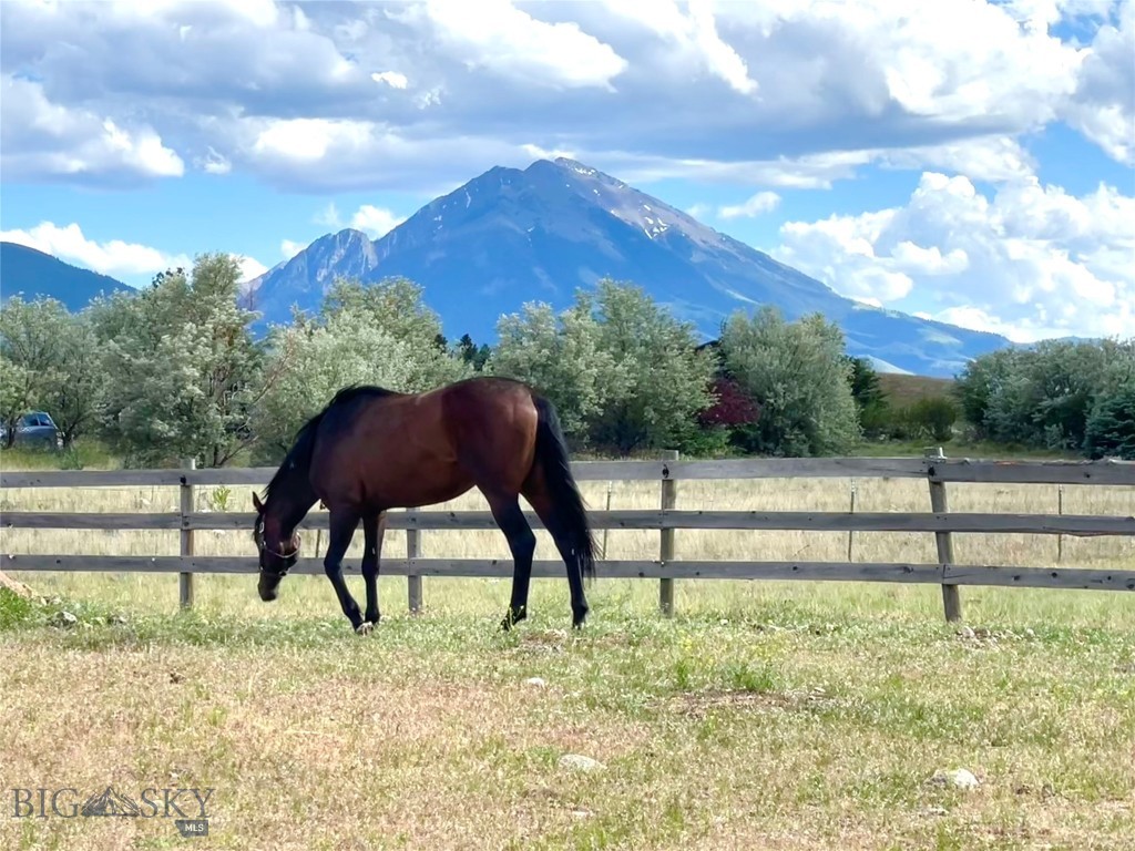 56 Yellowstone Trail