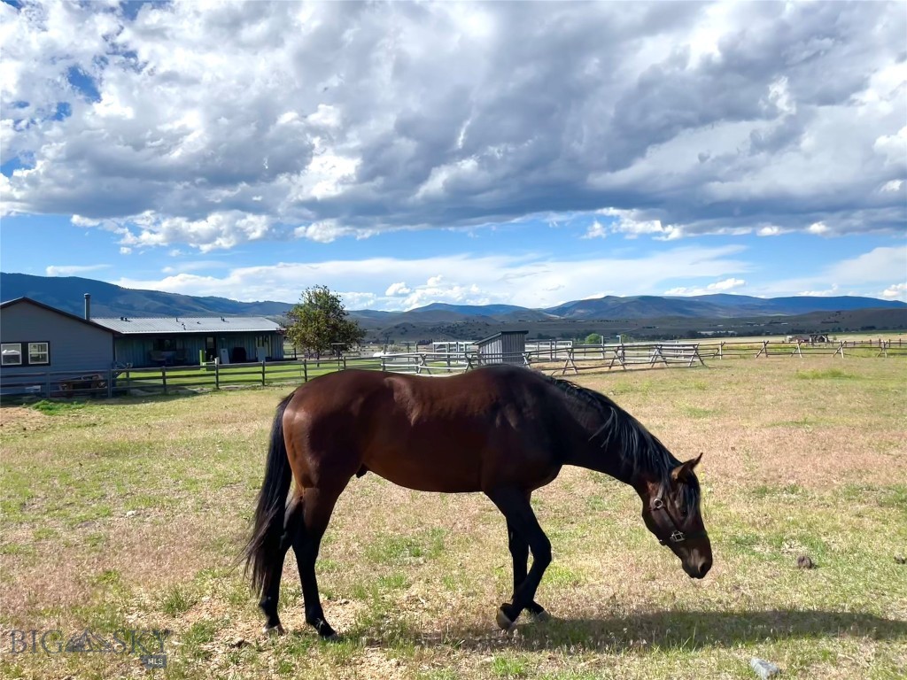56 Yellowstone Trail