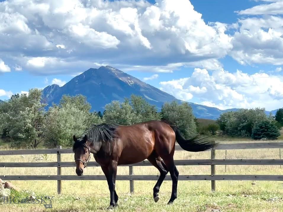 56 Yellowstone Trail