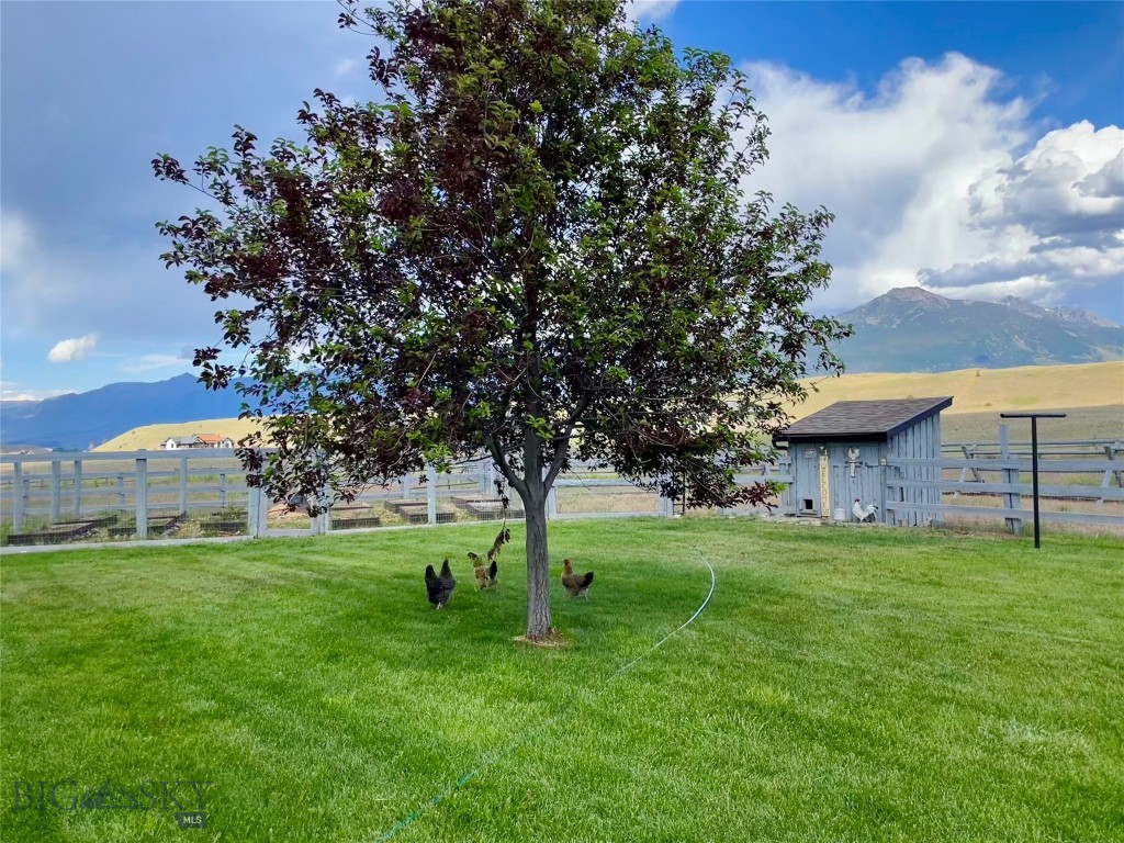 56 Yellowstone Trail