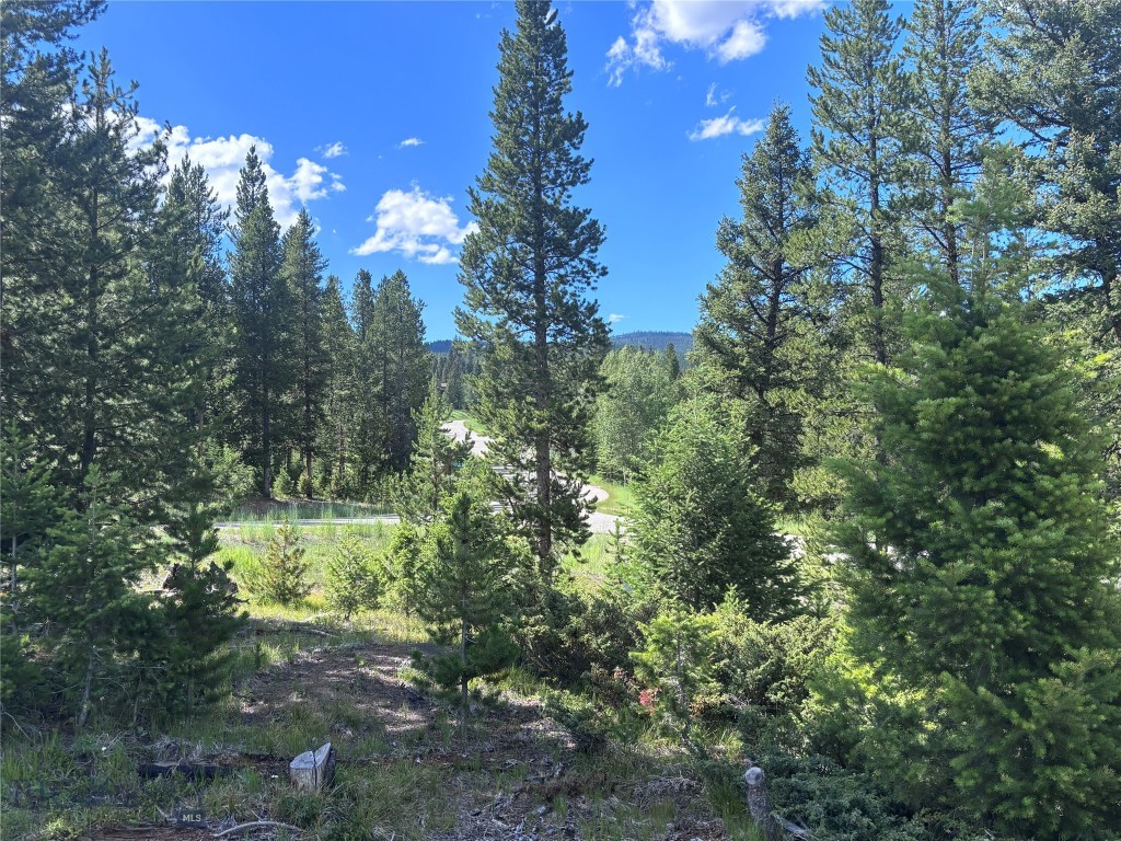 566 Antler Ridge