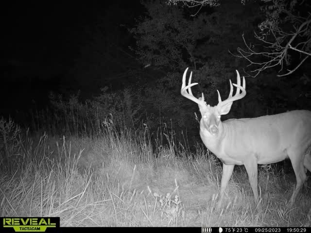 Lot 1 Hogback Bridge Road