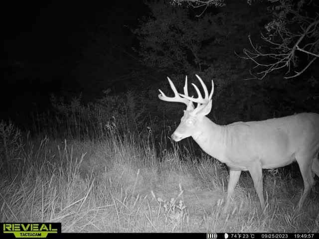 Lot 1 Hogback Bridge Road