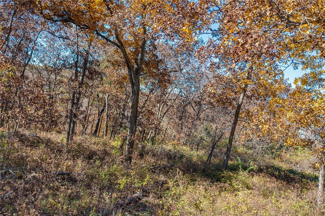 Lot 1 Hogback Bridge Road