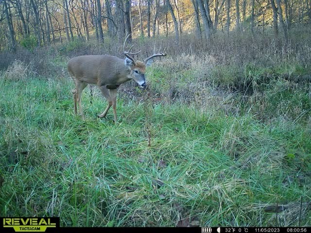Lot 1 Hogback Bridge Road