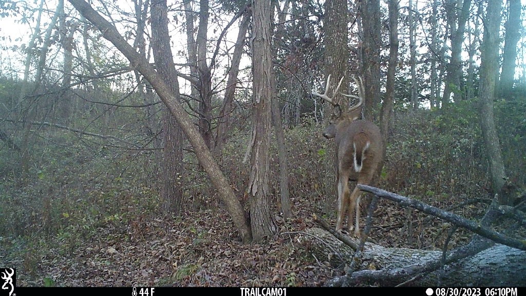Lot 1 Hogback Bridge Road