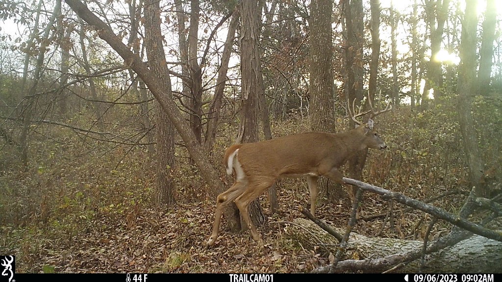 Lot 1 Hogback Bridge Road