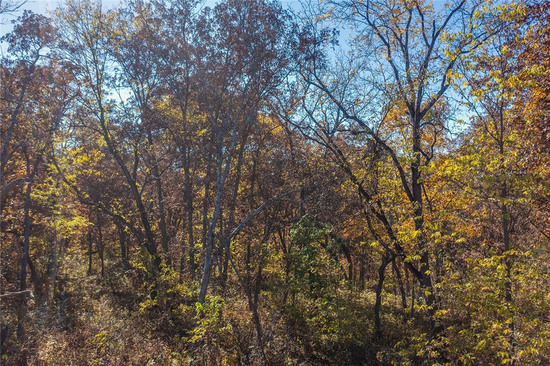 Lot 1 Hogback Bridge Road