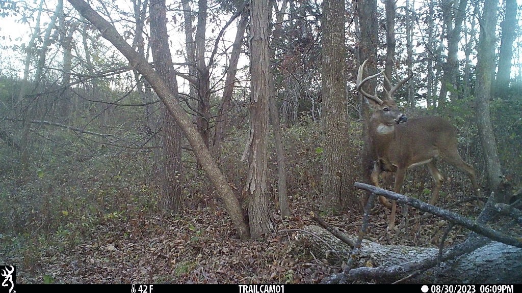 Lot 1 Hogback Bridge Road