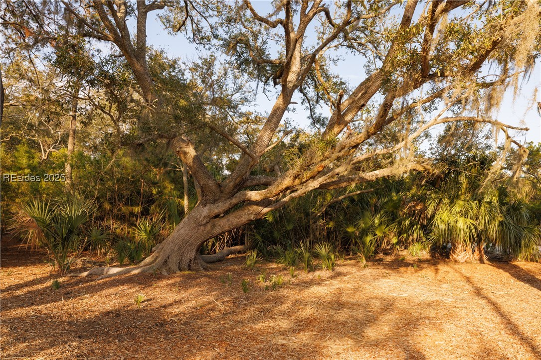 14 Vista Boulevard W