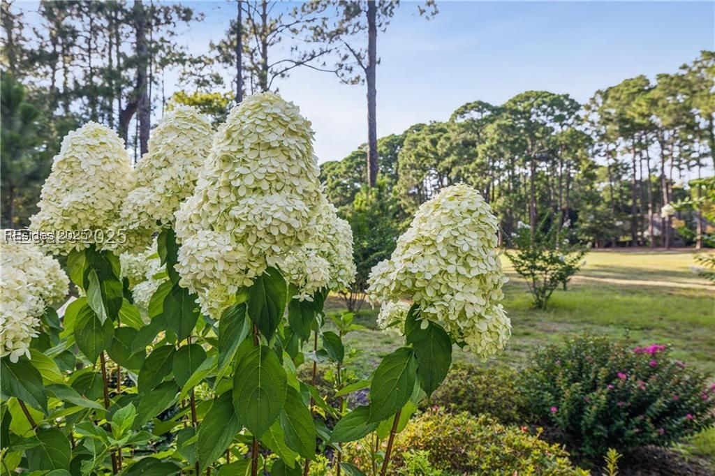 1 High Bluff Road Unit: 2006