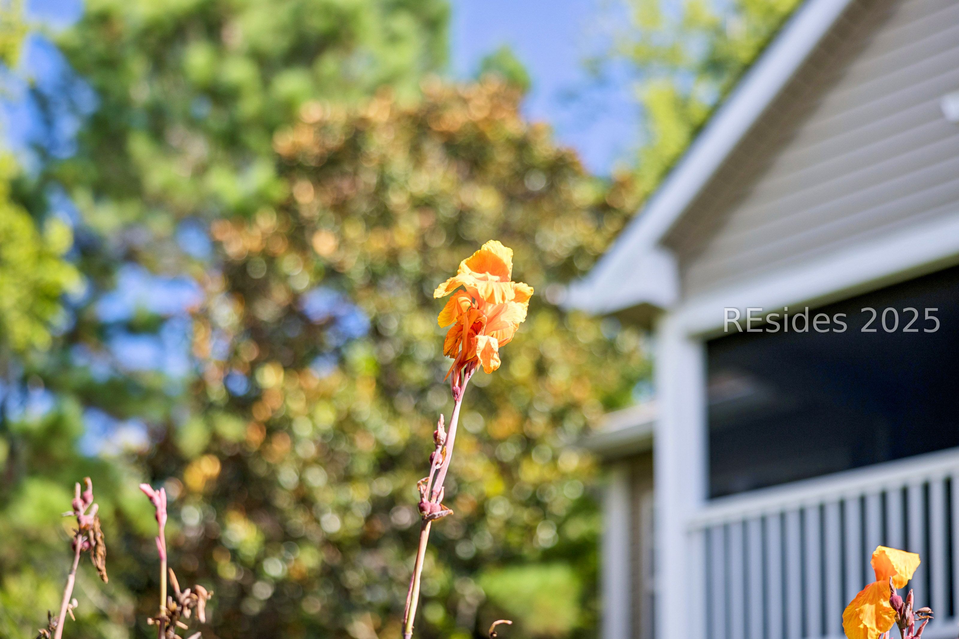 67 Summerfield Court Unit: 623