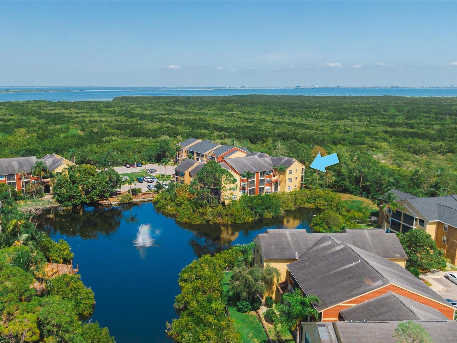 11901 4TH ST N #2302