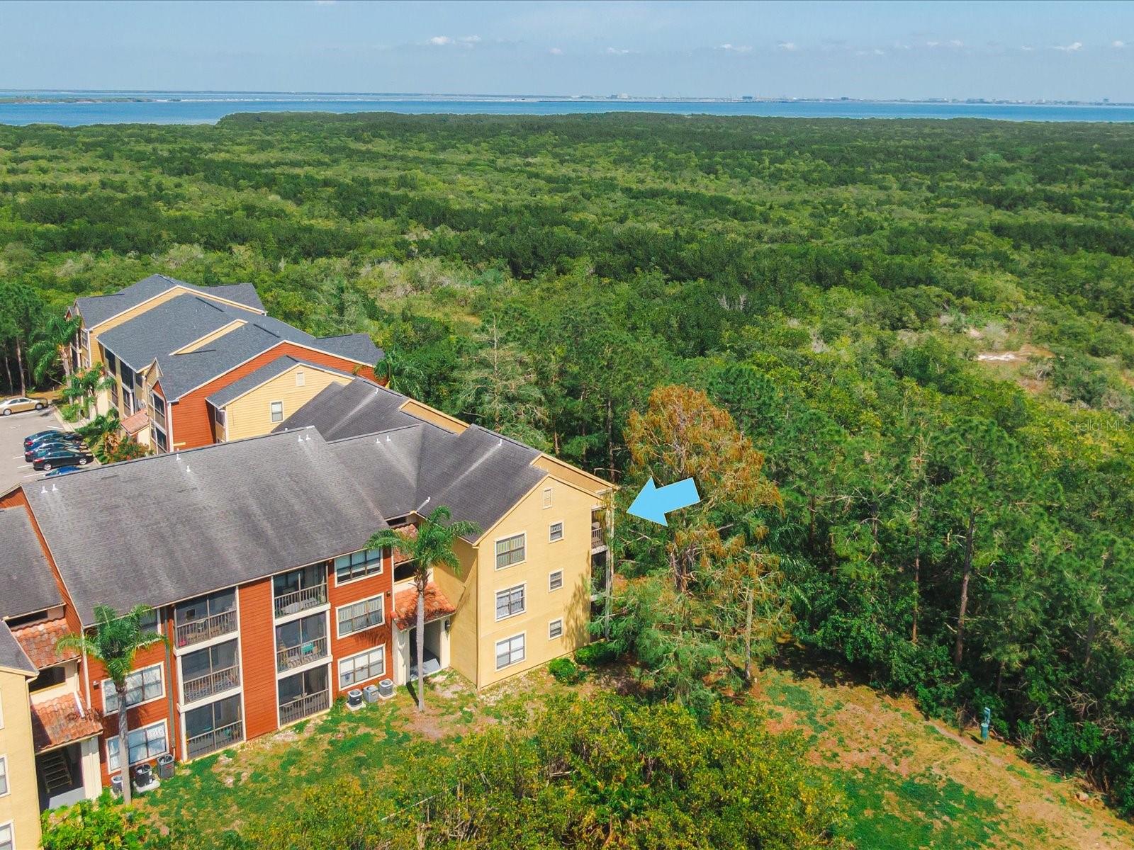 11901 4TH ST N #2302